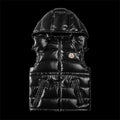 moncler vest
